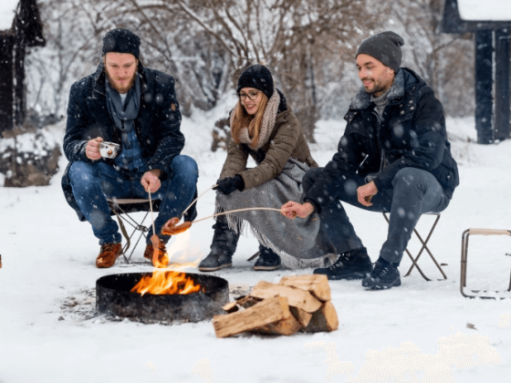 Chill Vibes Only: 15 Winter Picnic Ideas for Your Backyard & Patio