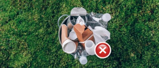 From Plastic-Free to Plant-Friendly – Ultimate Guide to Eco-Friendly Swaps 