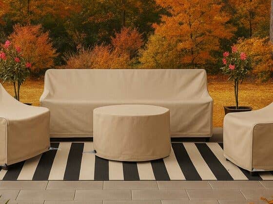 What You Should Do Now to Avoid Weather Damage This Fall