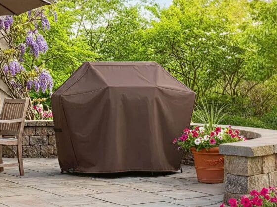 How to Protect Grill During Canada’s Spring Thaw