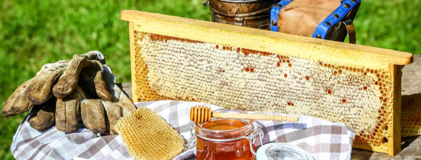 Honey comb on table